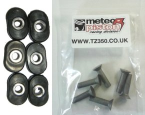 Clutch Damper Rubbers + RIVETS